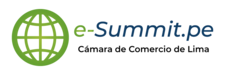 E-summit